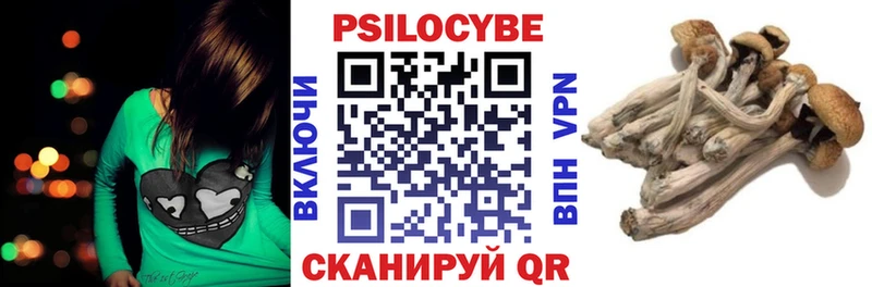 Псилоцибиновые грибы Magic Shrooms  закладки  Кириллов 